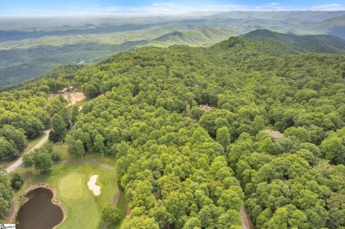 Picture of Residential Land For Sale in Landrum, South Carolina, United States