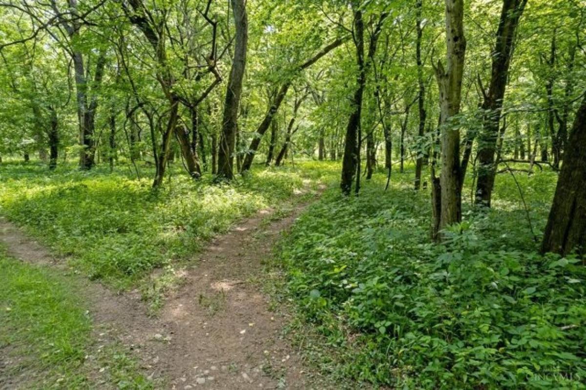 Picture of Residential Land For Sale in Ripley, Ohio, United States