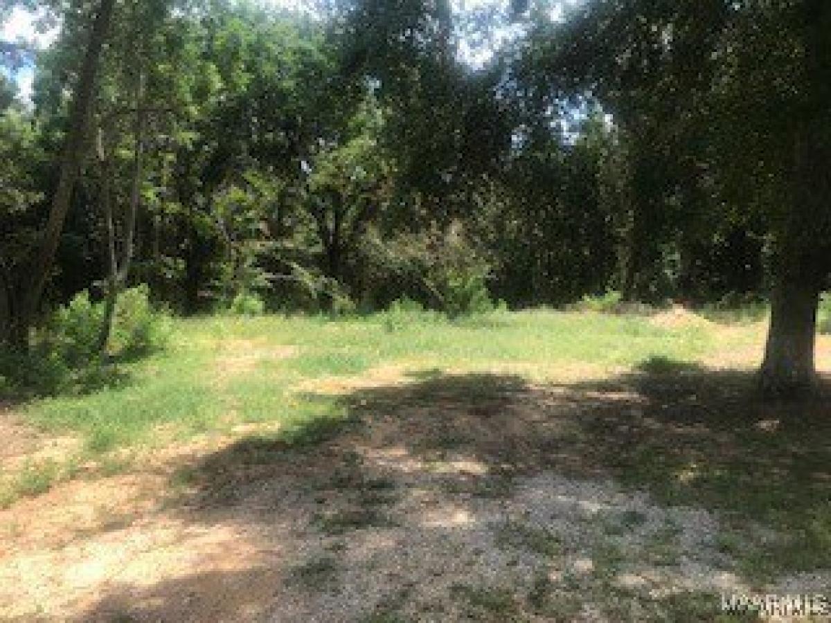 Picture of Residential Land For Sale in Highland Home, Alabama, United States