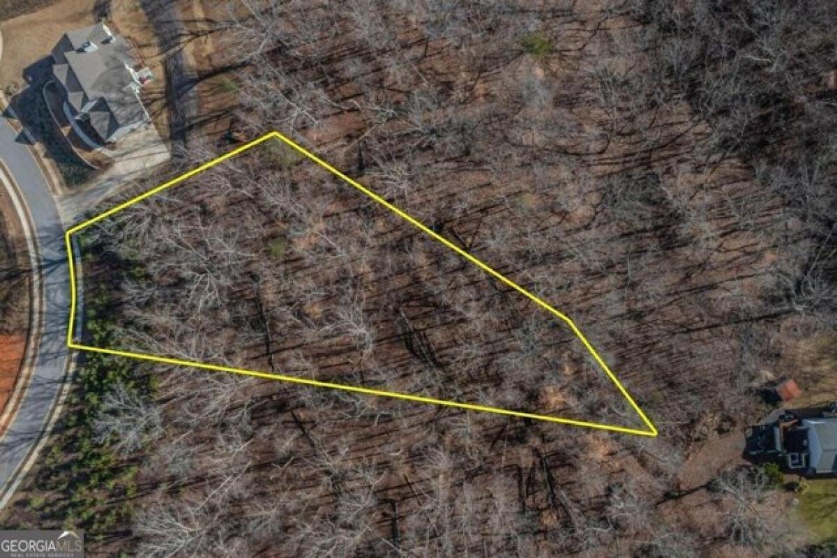 Picture of Residential Land For Sale in Gainesville, Georgia, United States