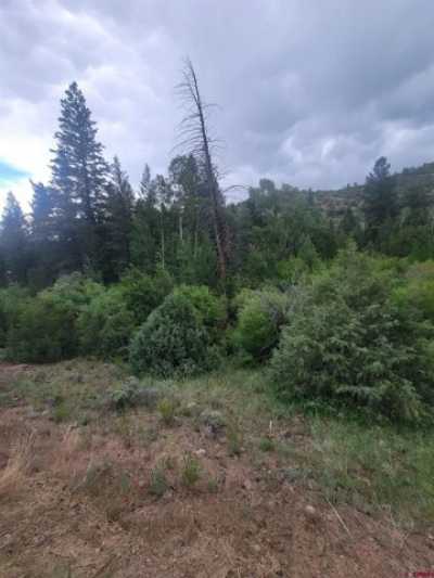 Residential Land For Sale in Del Norte, Colorado