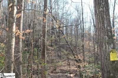 Residential Land For Sale in Landrum, South Carolina