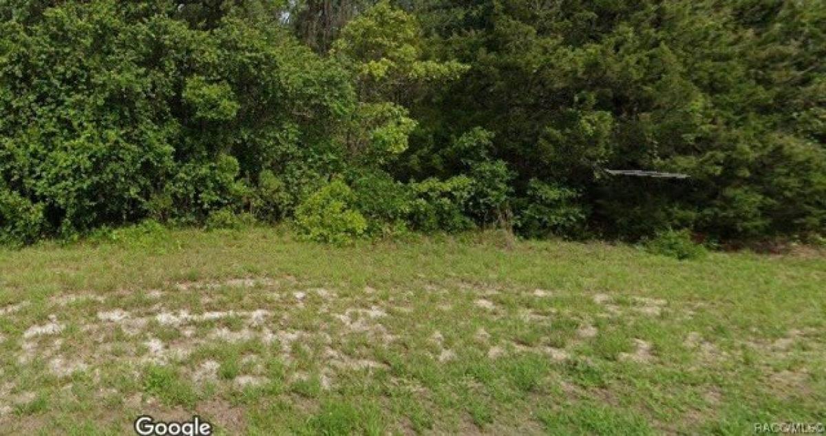 Picture of Residential Land For Sale in Inverness, Florida, United States