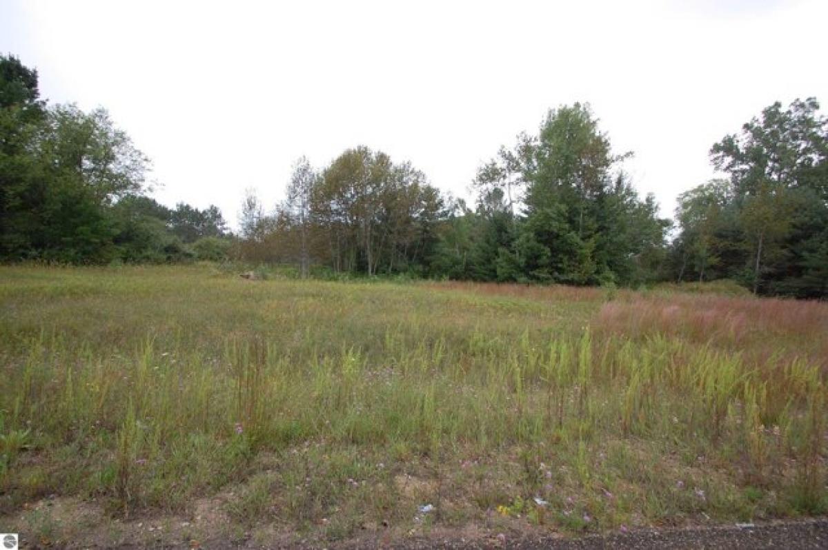 Picture of Residential Land For Sale in West Branch, Michigan, United States