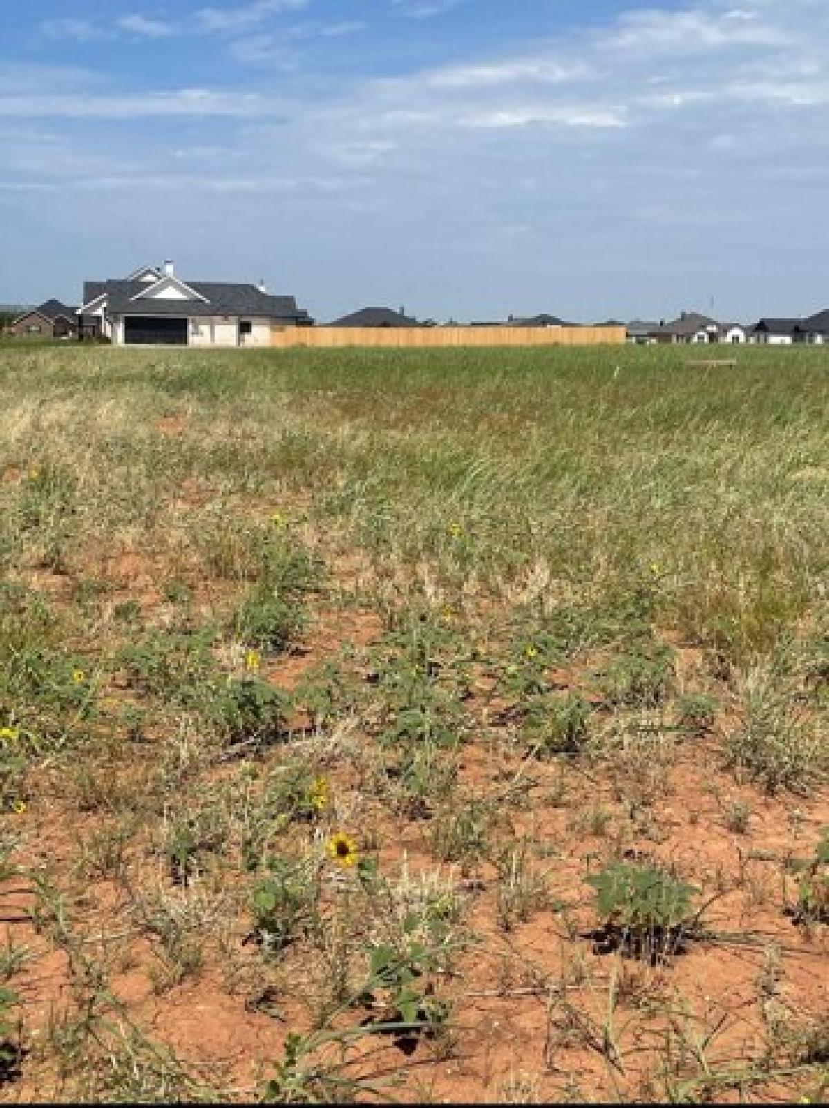 Picture of Residential Land For Sale in Tuscola, Texas, United States