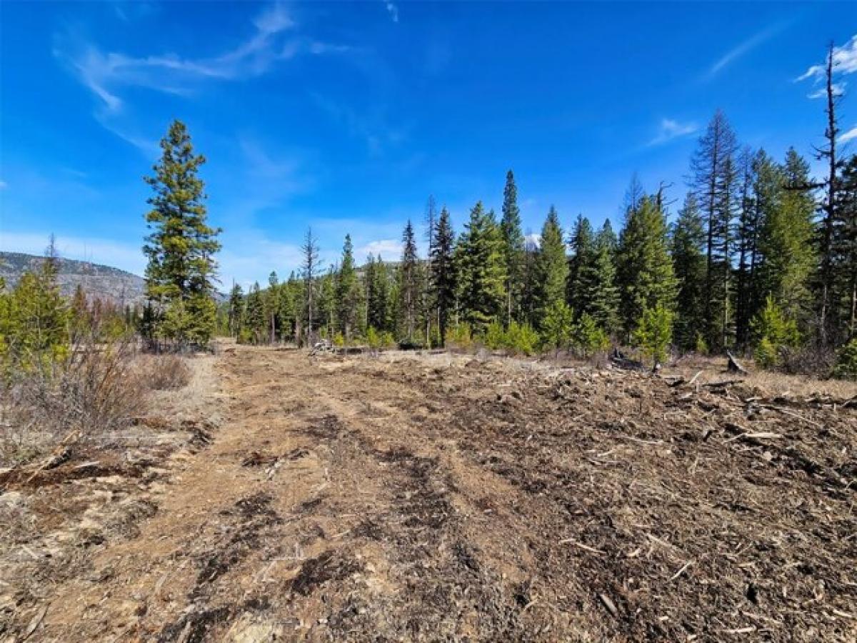 Picture of Residential Land For Sale in Libby, Montana, United States