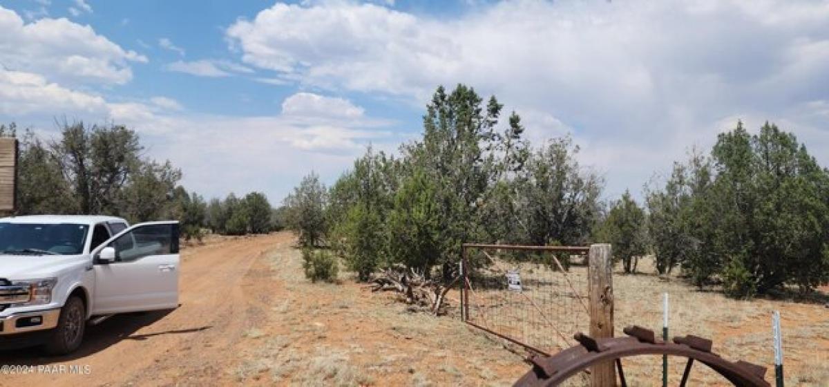 Picture of Residential Land For Sale in Ash Fork, Arizona, United States