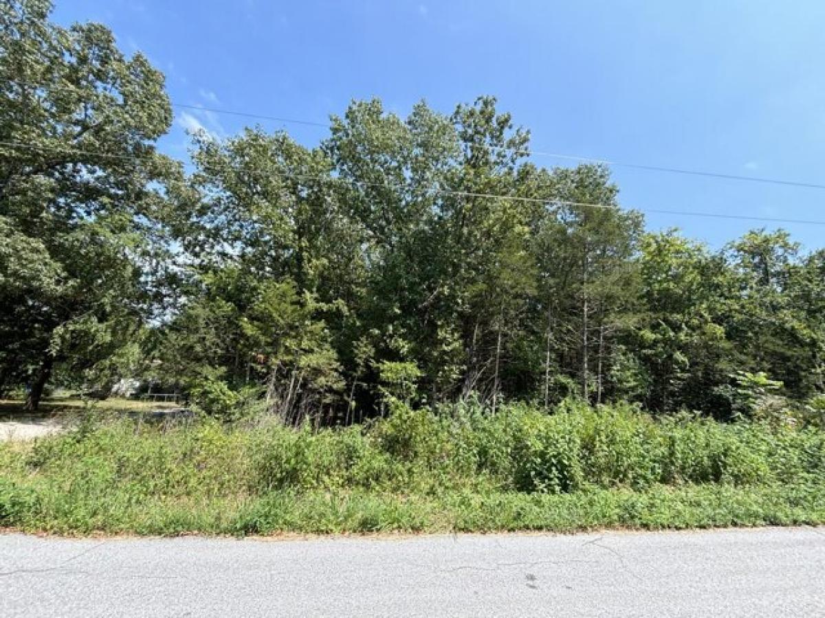 Picture of Residential Land For Sale in Shell Knob, Missouri, United States