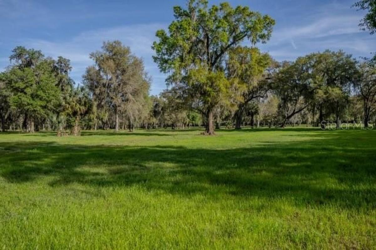 Picture of Residential Land For Sale in Reddick, Florida, United States