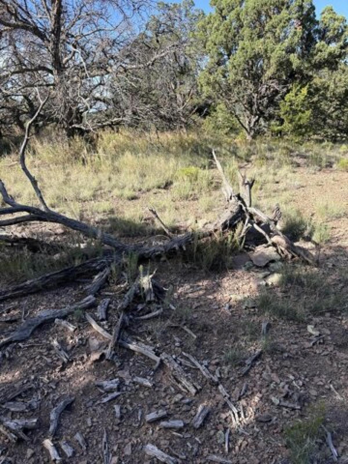 Picture of Residential Land For Sale in Datil, New Mexico, United States