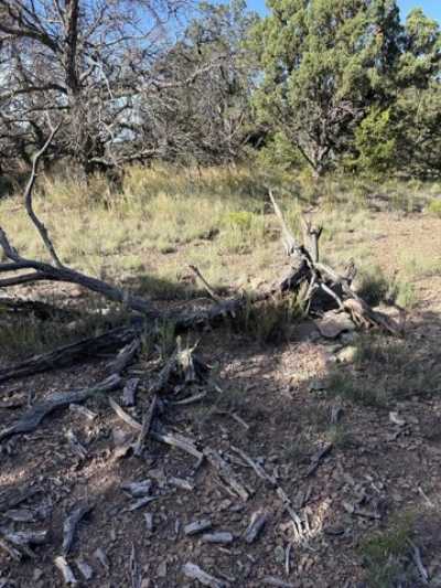 Residential Land For Sale in Datil, New Mexico