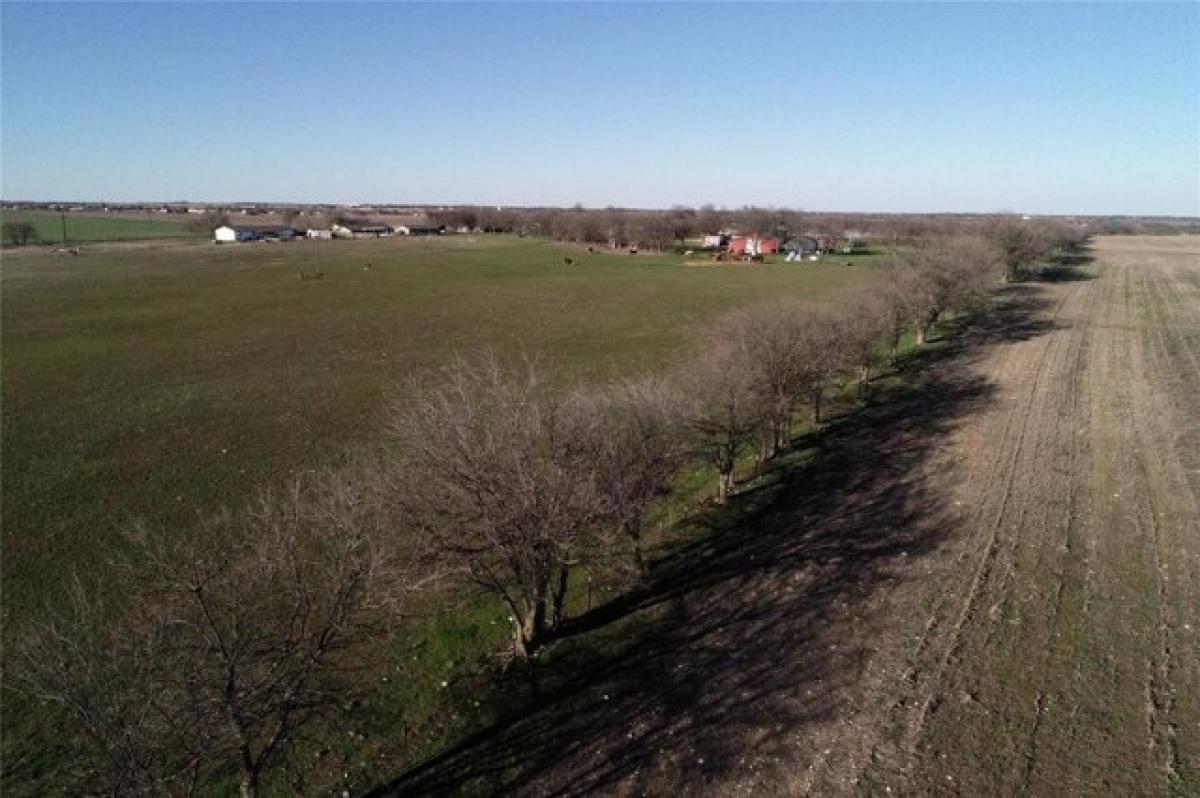 Picture of Residential Land For Sale in Decatur, Texas, United States