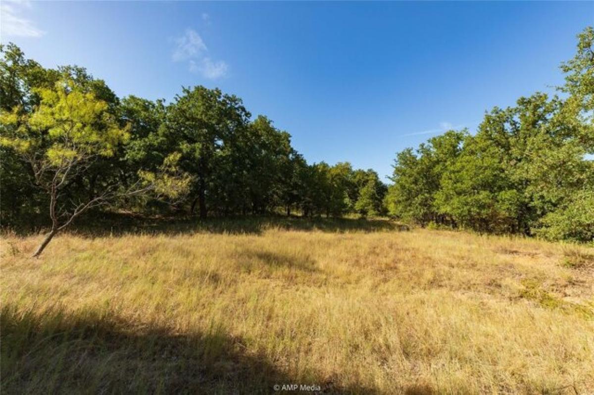 Picture of Residential Land For Sale in Desdemona, Texas, United States