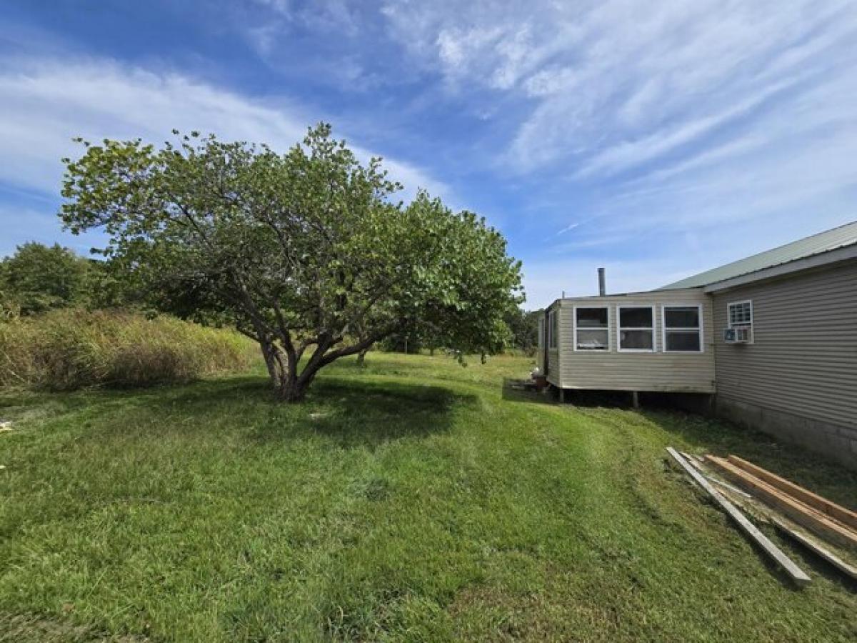 Picture of Home For Sale in Buffalo, Missouri, United States