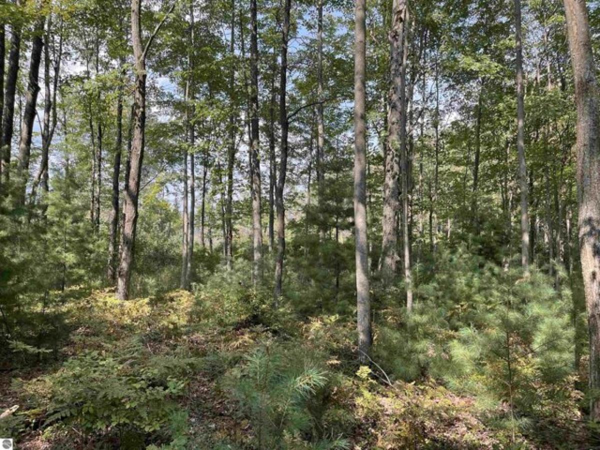 Picture of Residential Land For Sale in Prescott, Michigan, United States