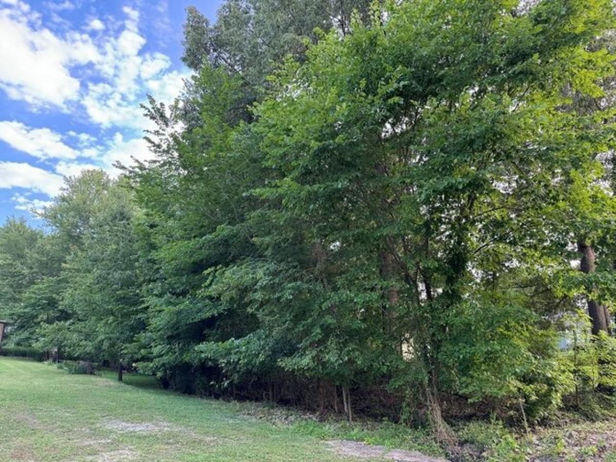 Picture of Residential Land For Sale in Springville, Tennessee, United States