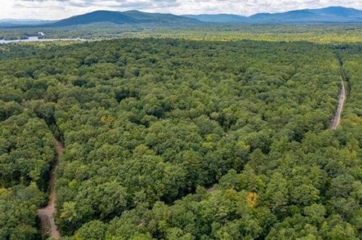 Picture of Residential Land For Sale in Moultonborough, New Hampshire, United States