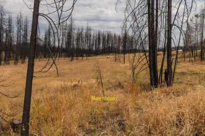 Residential Land For Sale in Elk, Washington