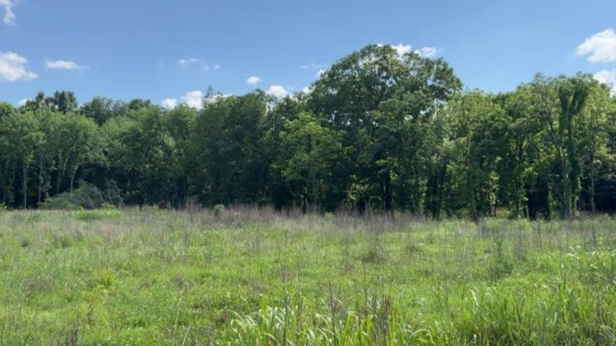 Picture of Residential Land For Sale in Mount Juliet, Tennessee, United States