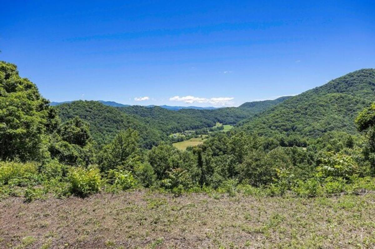 Picture of Residential Land For Sale in Whittier, North Carolina, United States