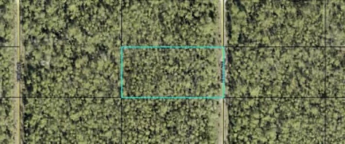 Picture of Residential Land For Sale in Hastings, Florida, United States