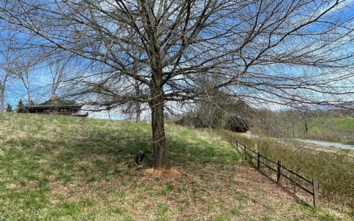 Picture of Residential Land For Sale in Hayesville, North Carolina, United States