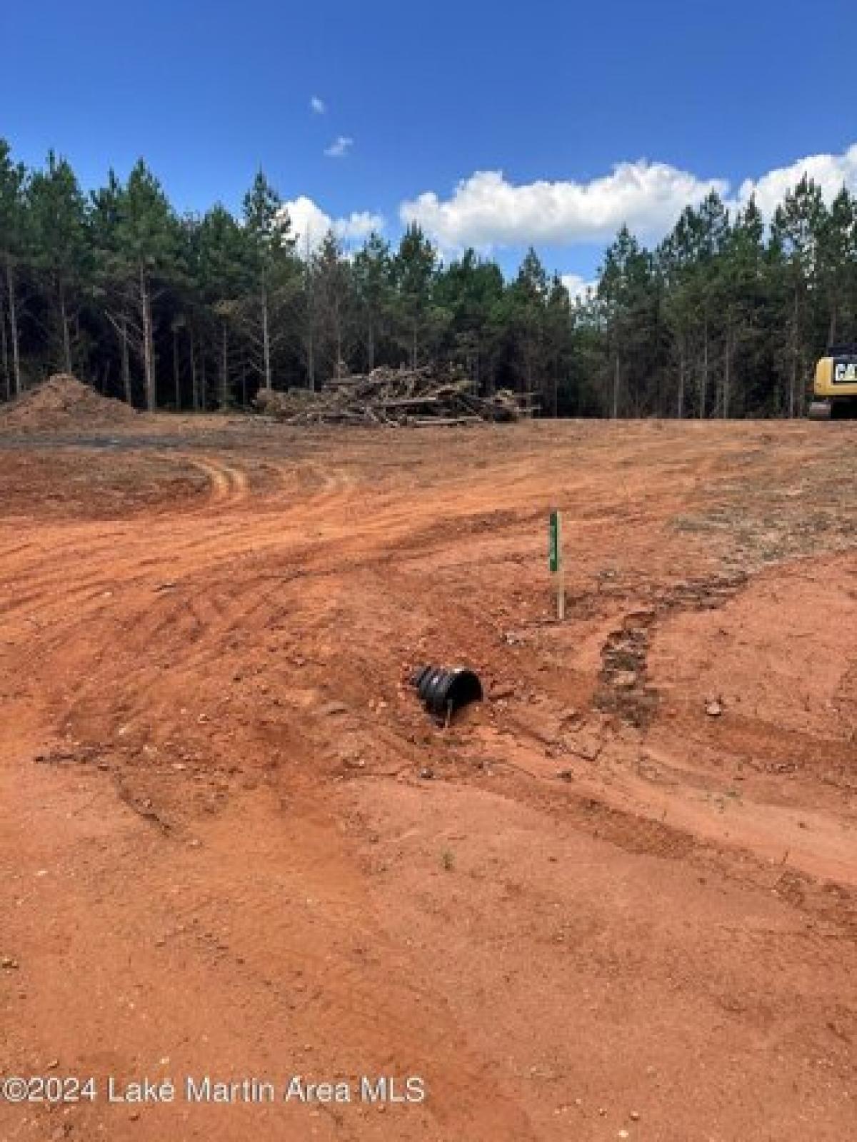 Picture of Residential Land For Sale in Dadeville, Alabama, United States