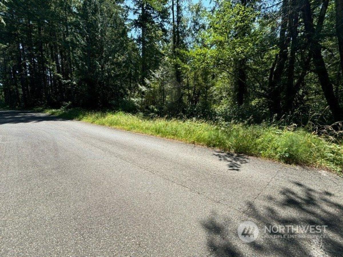 Picture of Residential Land For Sale in Shelton, Washington, United States