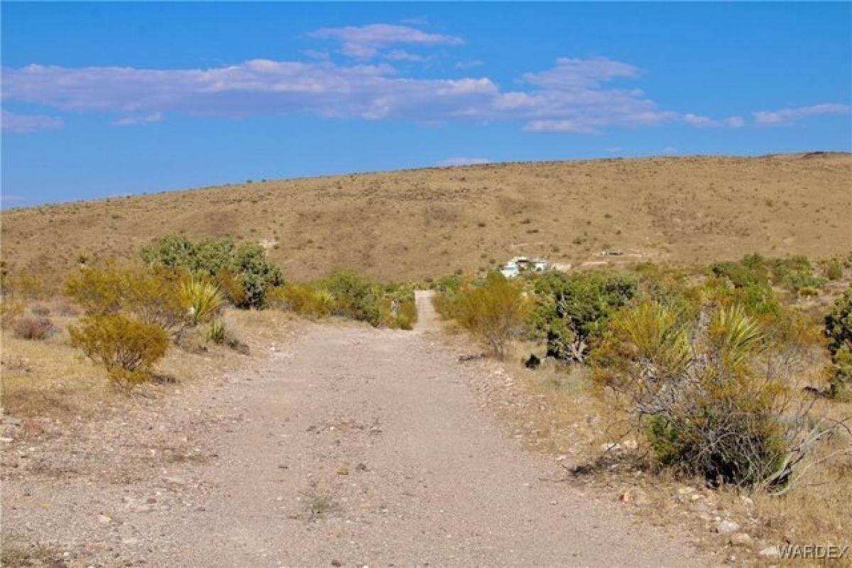 Picture of Residential Land For Sale in Dolan Springs, Arizona, United States