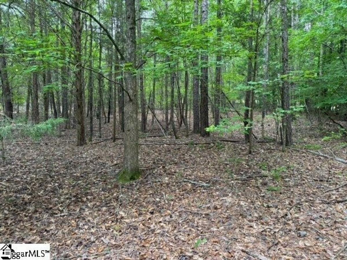 Picture of Residential Land For Sale in Pelzer, South Carolina, United States