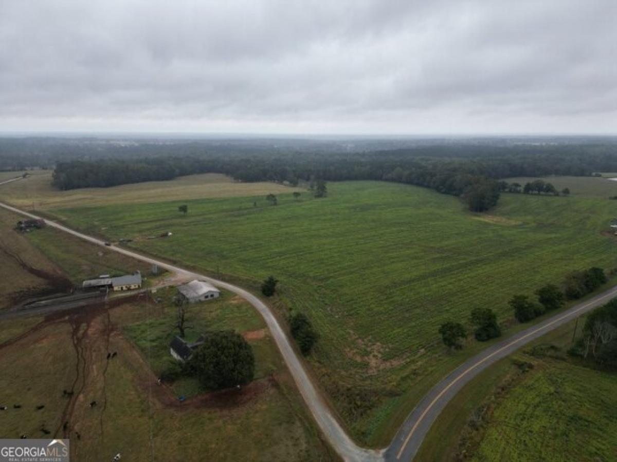 Picture of Residential Land For Sale in Newborn, Georgia, United States