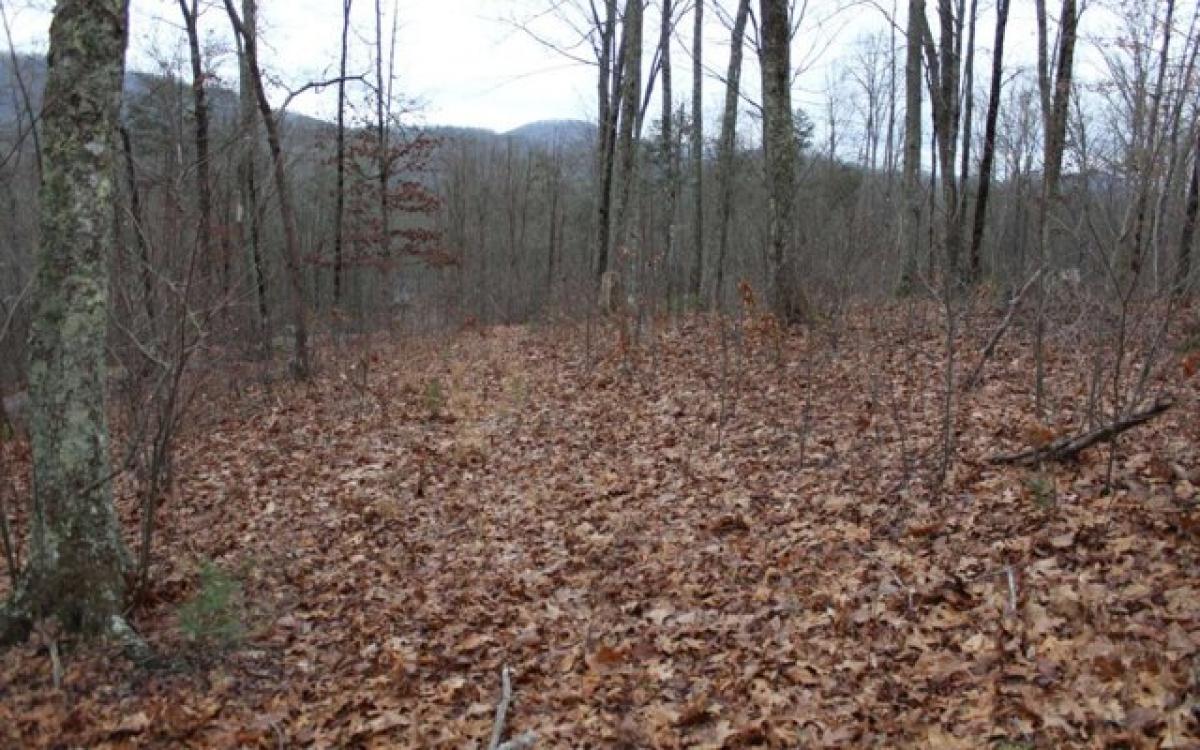 Picture of Residential Land For Sale in Hayesville, North Carolina, United States