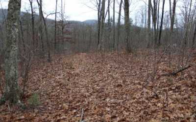 Residential Land For Sale in Hayesville, North Carolina