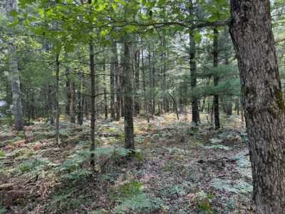 Residential Land For Sale in Luther, Michigan