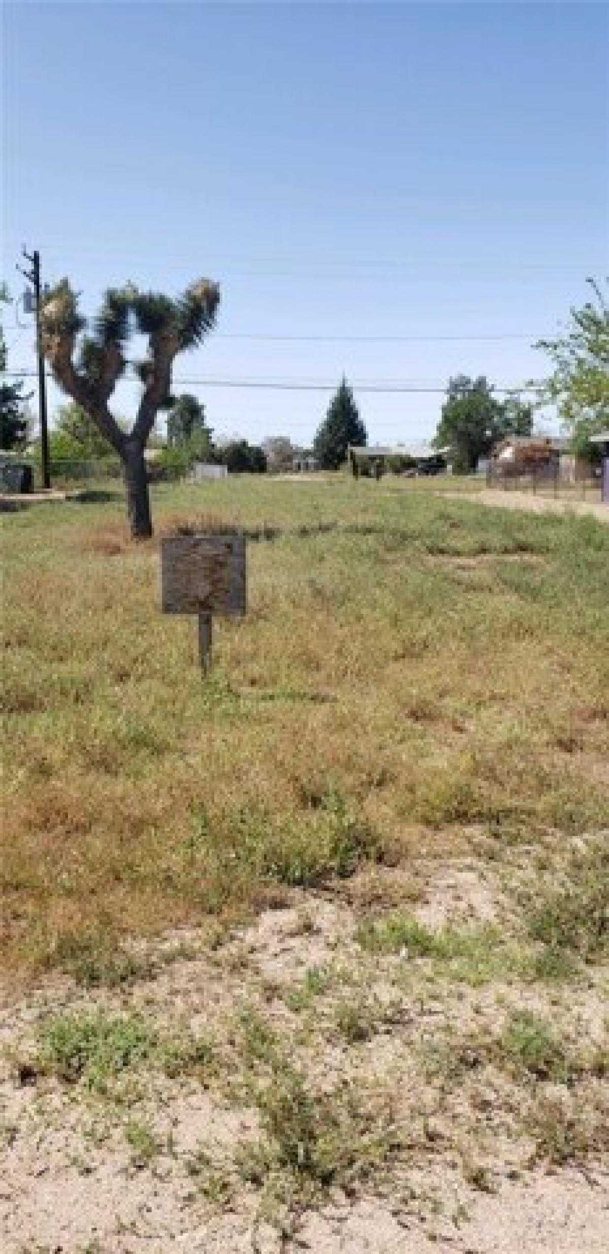 Picture of Residential Land For Sale in Hesperia, California, United States