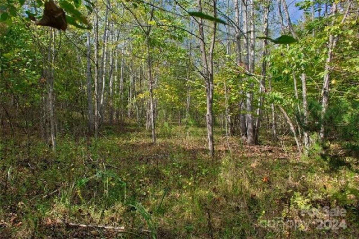 Picture of Residential Land For Sale in Rutherfordton, North Carolina, United States