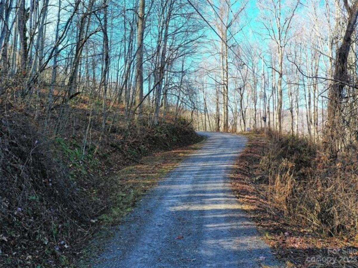 Picture of Residential Land For Sale in Waynesville, North Carolina, United States