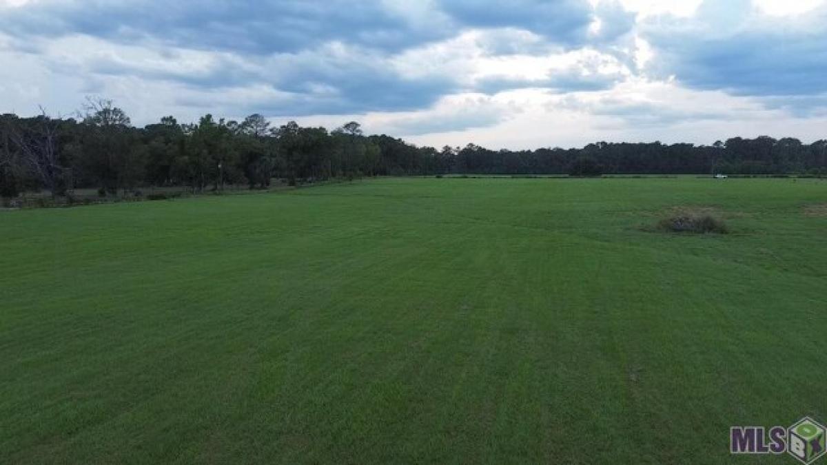 Picture of Residential Land For Sale in Amite, Louisiana, United States