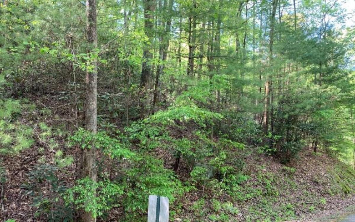 Picture of Residential Land For Sale in Hayesville, North Carolina, United States