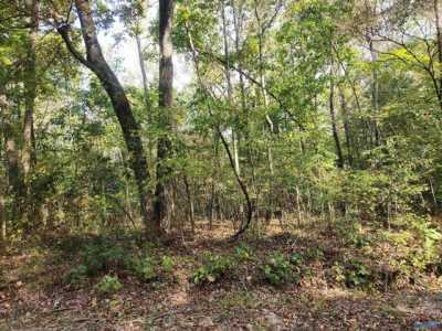 Residential Land For Rent in Hamilton, Alabama