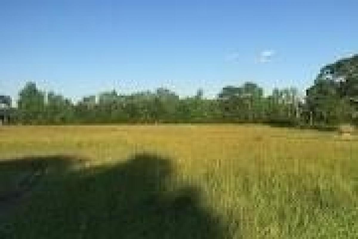 Picture of Residential Land For Sale in Prairieville, Louisiana, United States