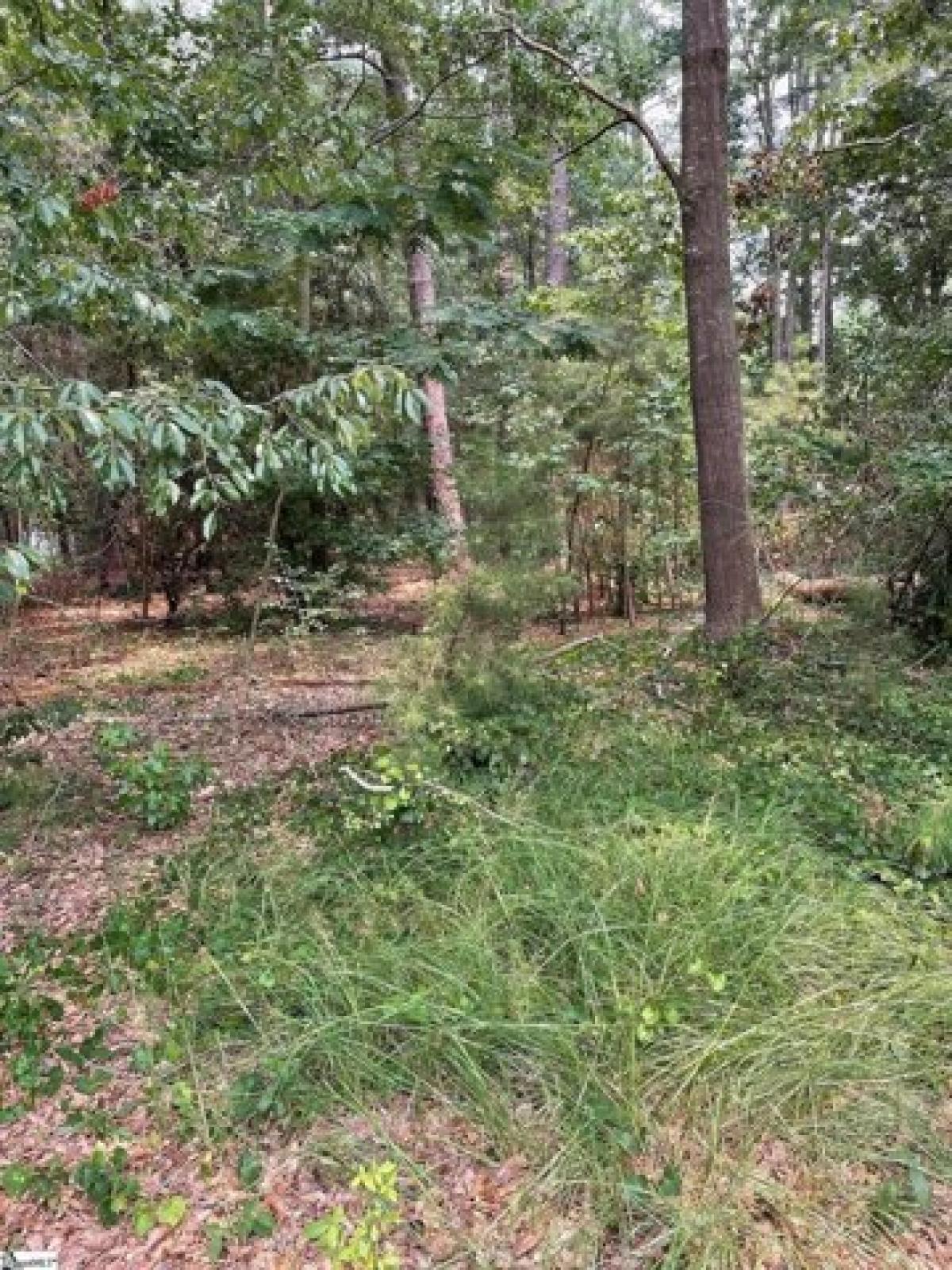 Picture of Residential Land For Sale in Anderson, South Carolina, United States