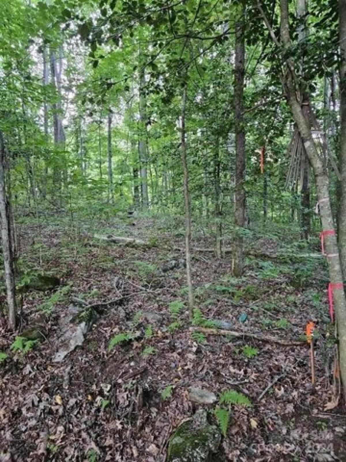 Picture of Residential Land For Sale in Maggie Valley, North Carolina, United States