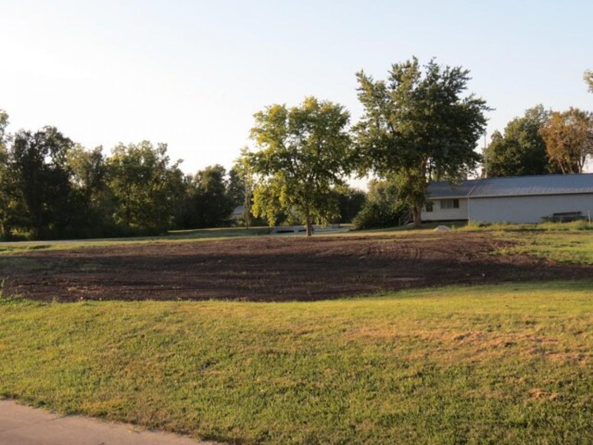 Picture of Residential Land For Sale in Madrid, Iowa, United States