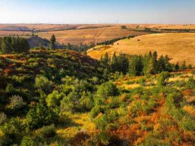 Residential Land For Sale in Dayton, Washington