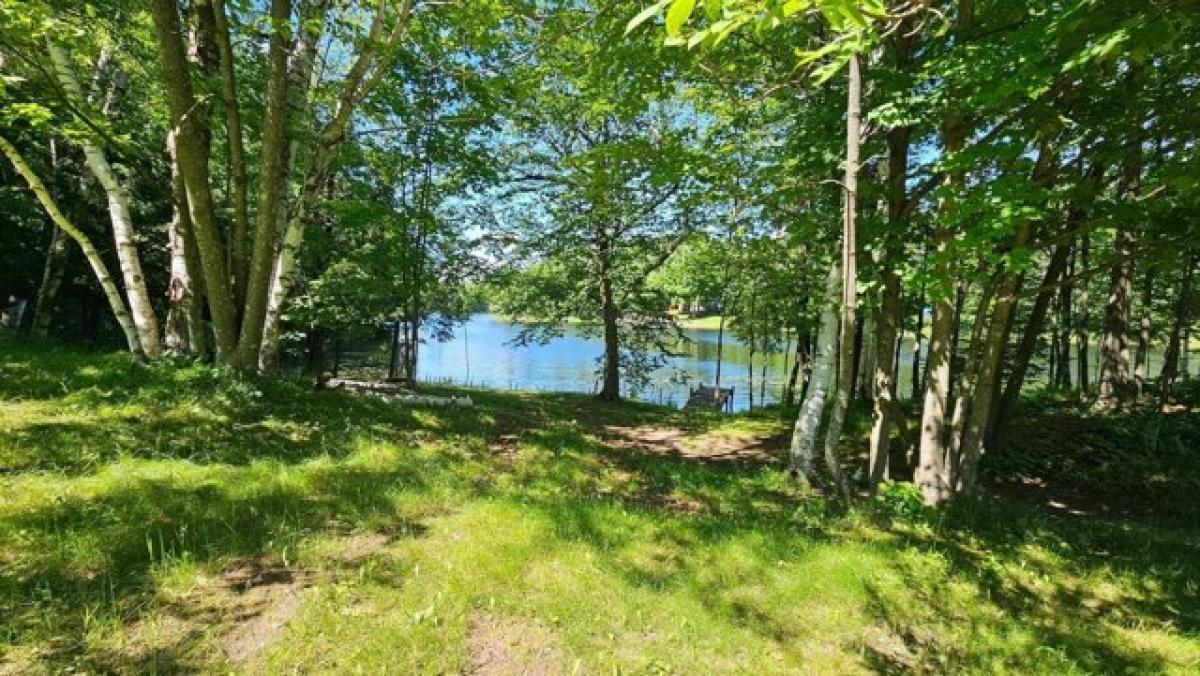 Picture of Home For Sale in Deerbrook, Wisconsin, United States