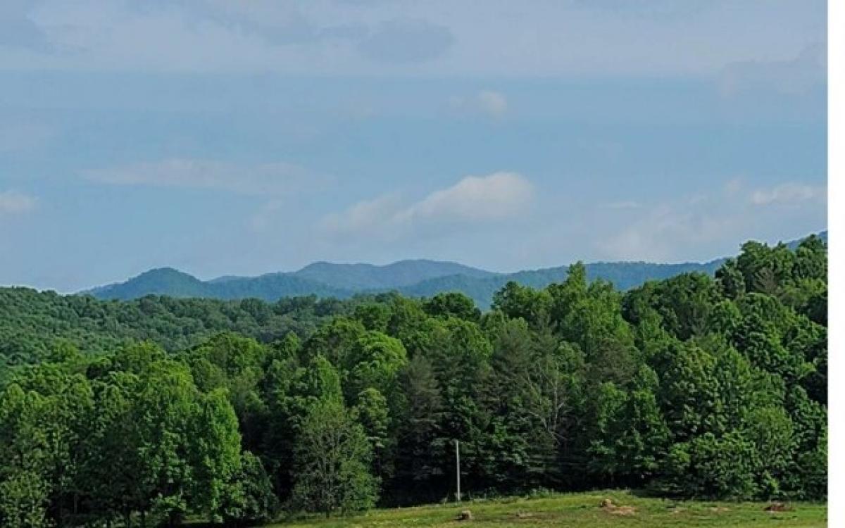 Picture of Residential Land For Sale in Hayesville, North Carolina, United States