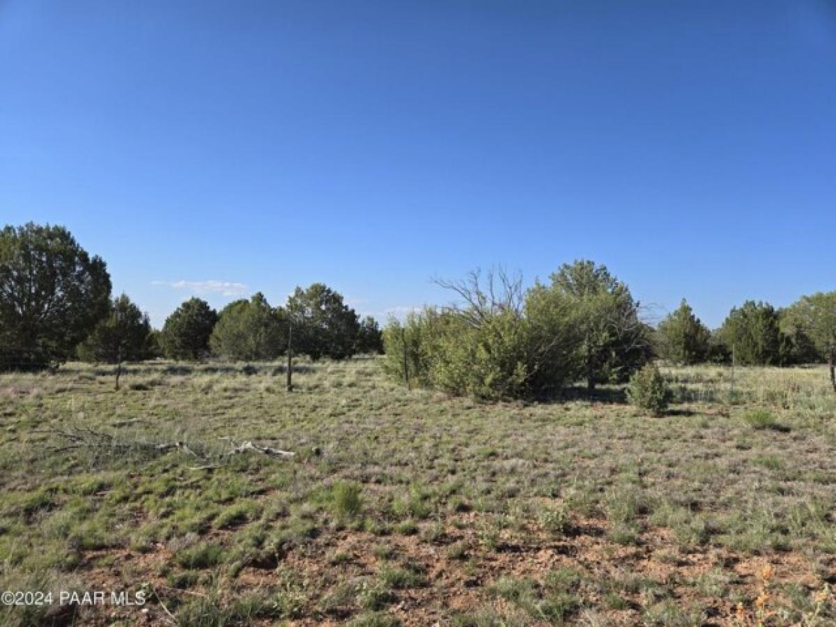 Picture of Residential Land For Sale in Ash Fork, Arizona, United States