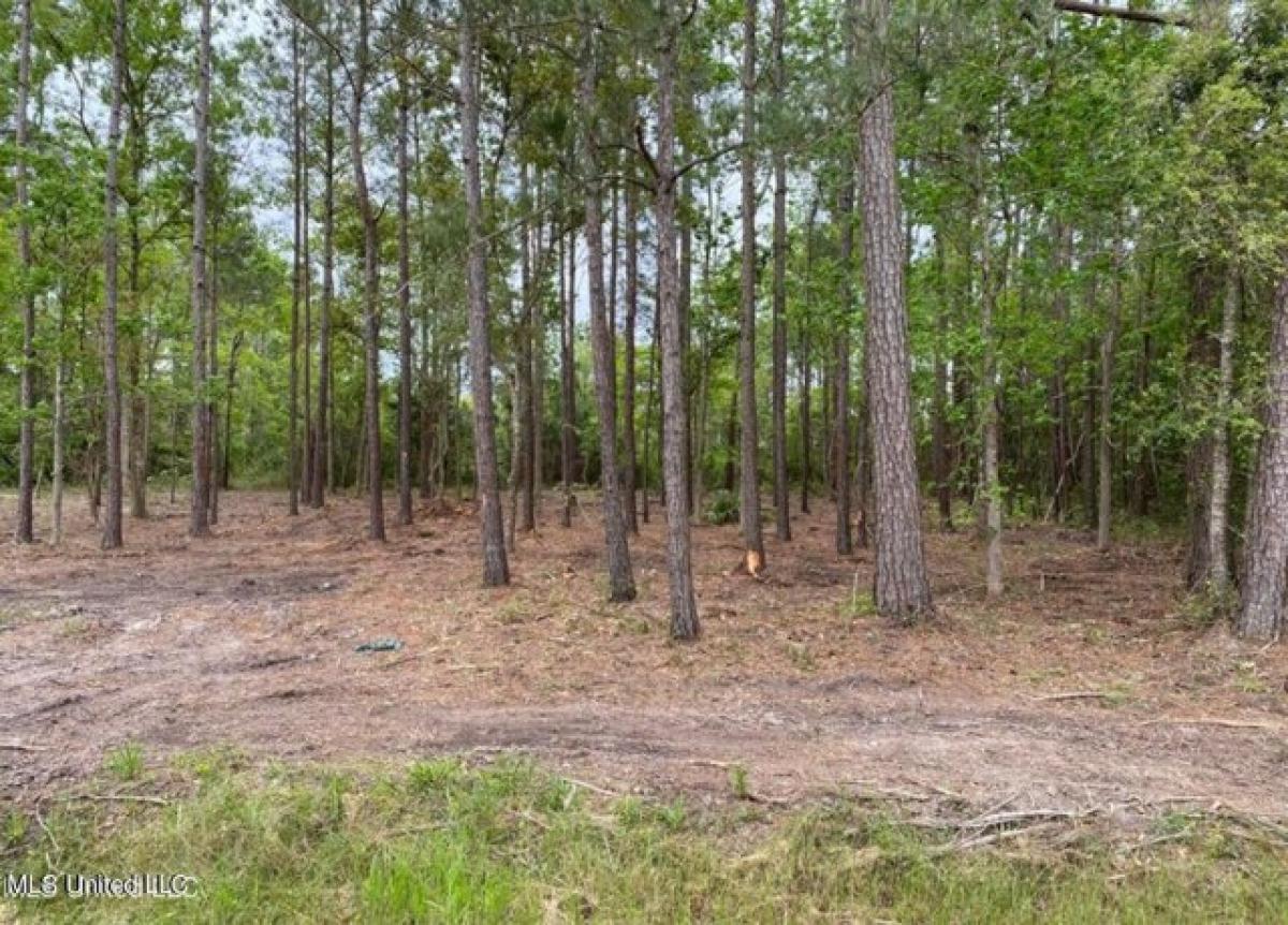 Picture of Residential Land For Sale in Pass Christian, Mississippi, United States