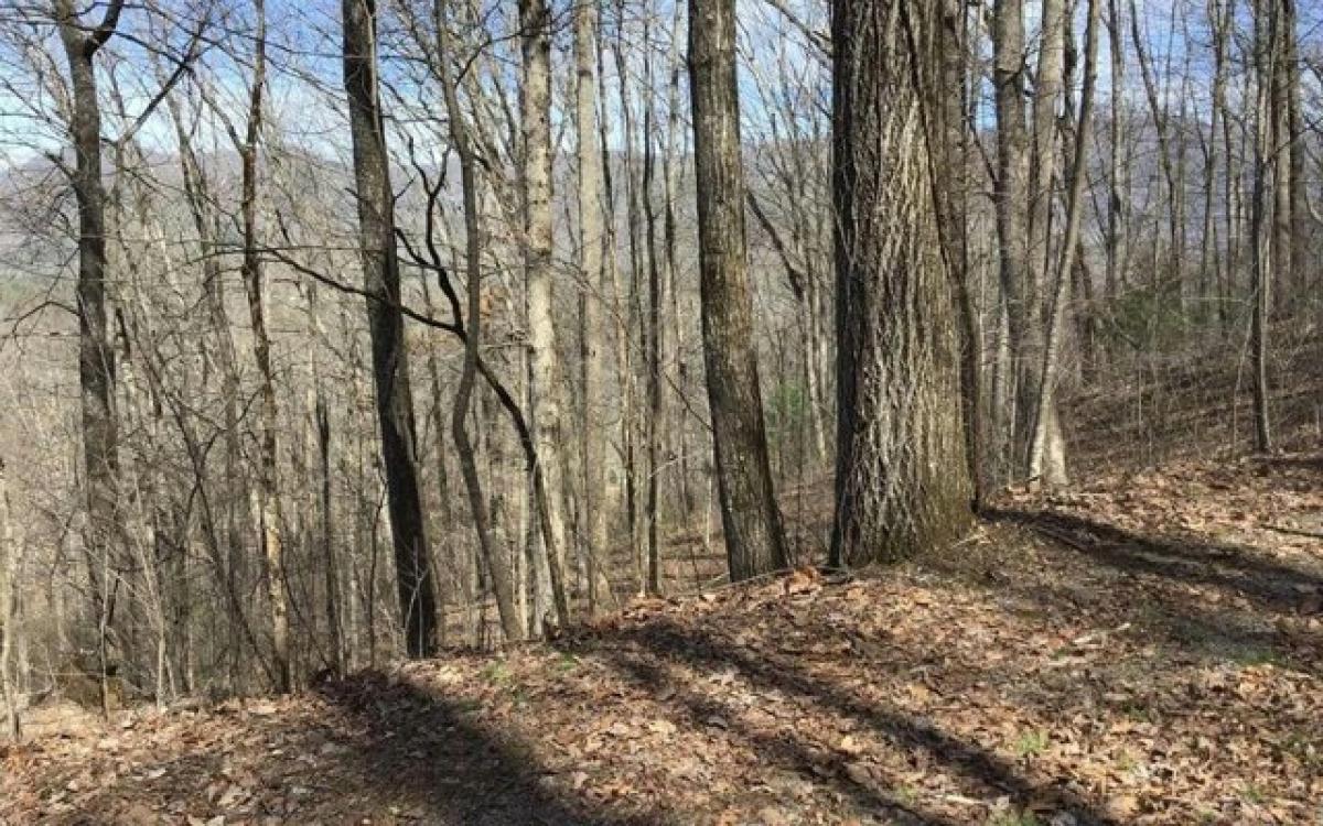 Picture of Residential Land For Sale in Hayesville, North Carolina, United States